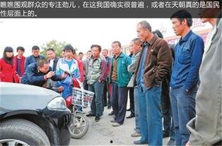 墾利縣吃瓜群眾事件,一場網(wǎng)絡(luò)輿論的風(fēng)暴與反思