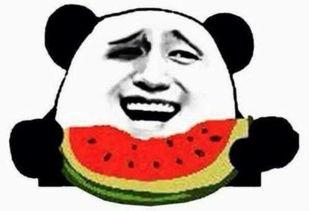 一個萌萌噠吃瓜群眾視頻,揭秘吃瓜群眾的歡樂日常