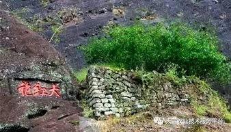 武夷山最近吃瓜群眾,最新熱點事件盤點