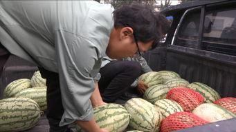 吃瓜群眾真快樂圖片大全,真快樂圖片大全集錦