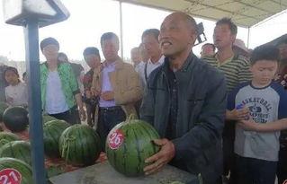 安陽吃瓜群眾事件真相是真的嗎,真相揭秘