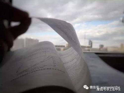 重慶吃瓜群眾岱宗岱,揭秘山城美食背后的故事