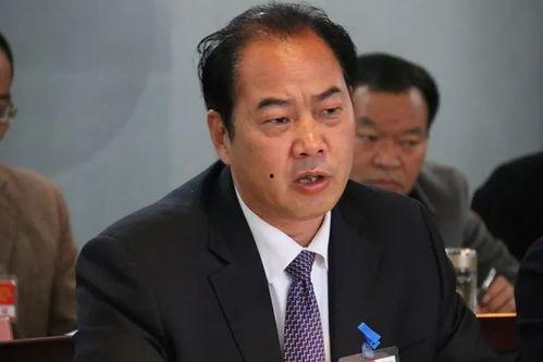 高毅吃瓜群眾,吃瓜群眾的視角，揭秘娛樂圈風云