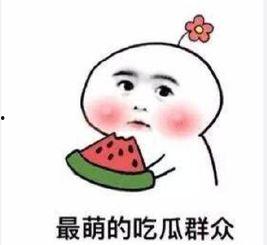 不明所以吃瓜群眾,揭秘“不明所以”吃瓜群眾的背后真相