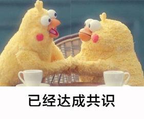 吃瓜群眾綽號,網絡時代的旁觀者與評論家