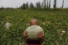 吃瓜群眾岱岱7月13,揭秘吃瓜群眾岱岱7月13日背后的故事