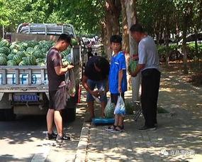 南樂鄉村吃瓜群眾事件真相,真相與反思