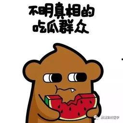 50歲以上吃瓜群眾,50 吃瓜群眾的歡樂時光