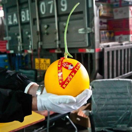 成為吃瓜群眾挖掘機(jī),網(wǎng)絡(luò)熱詞背后的社會(huì)現(xiàn)象