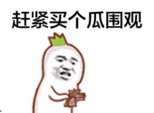 吃瓜群眾英語口語,Insider's Gist: A Gossipy Overview of the Latest Buzz