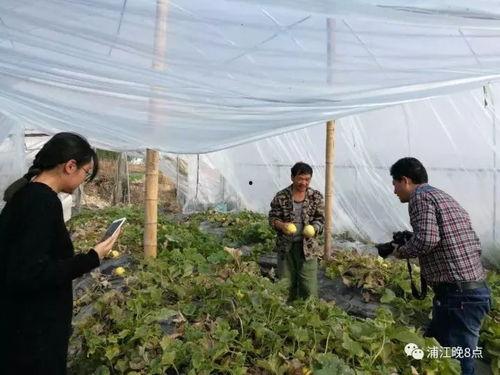 臨猗縣吃瓜群眾活動中心,打造全民娛樂新地標