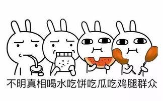 吃瓜群眾之歌完整版,揭秘網絡圍觀背后的社會現象